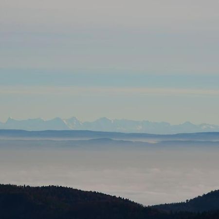 Doller Villa 4 Stars Hot Tub Mountain Ski Ballon D'Alsace Севен Экстерьер фото